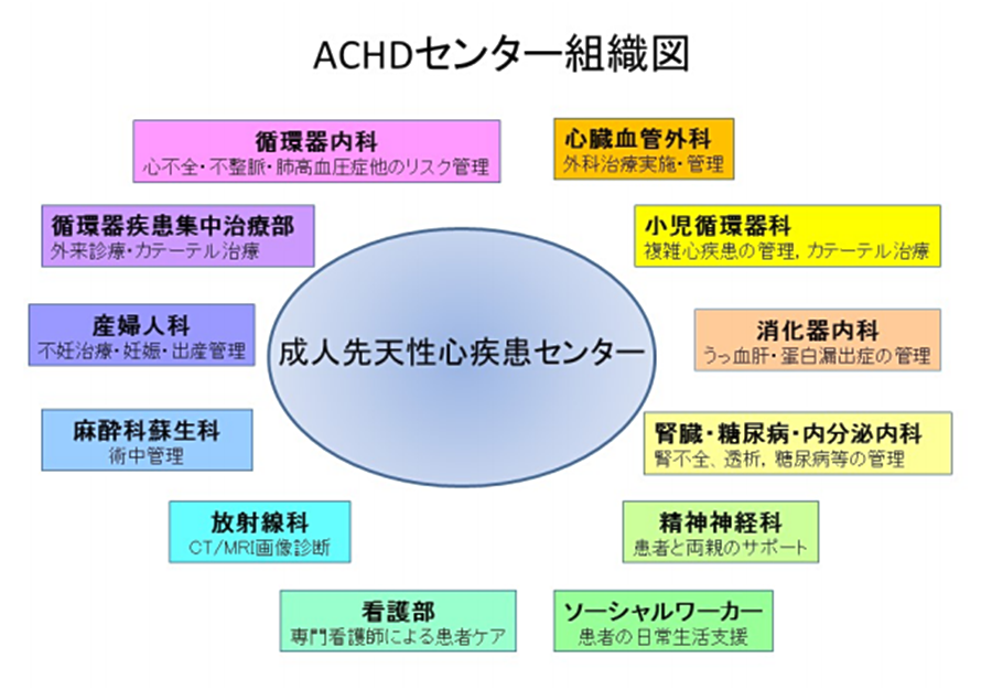 ACHDセンター組織図