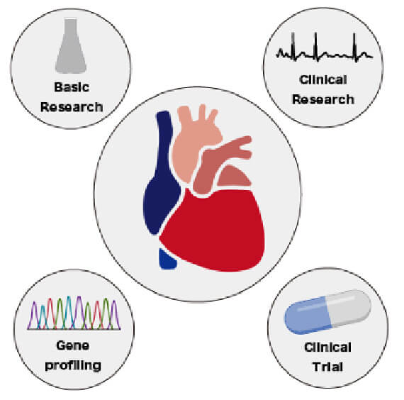 Clinical Research in Heart Failure