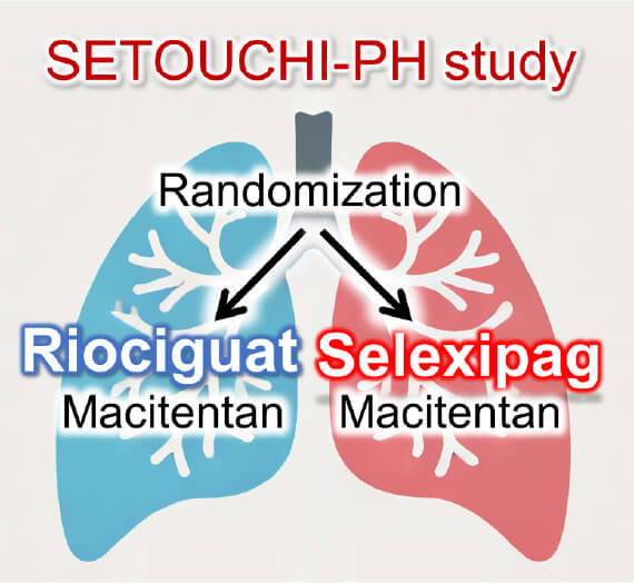 Novel strategy for pulmonary arterial hypertension